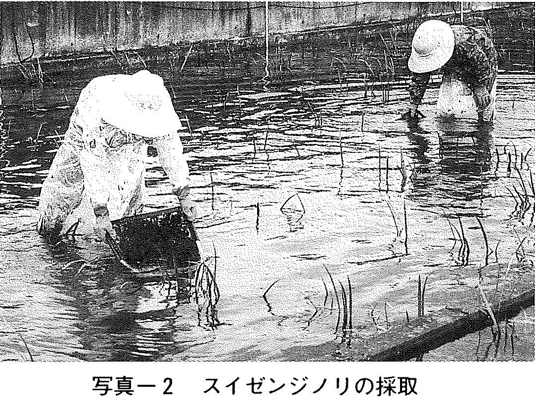 筑後川流域新聞　1999～2016