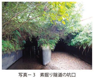 写真3　素掘り隧道の坑口