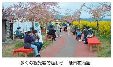 写真　多くの観光客で賑わう「延岡花物語」
