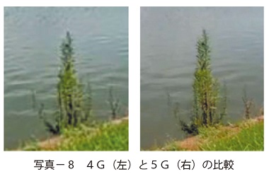 写真 8　４Ｇ（左）と５Ｇ（右）の比較