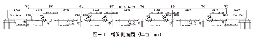 図1　橋梁側面図