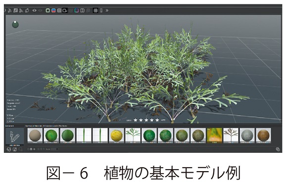 図6　植物の基本モデル例