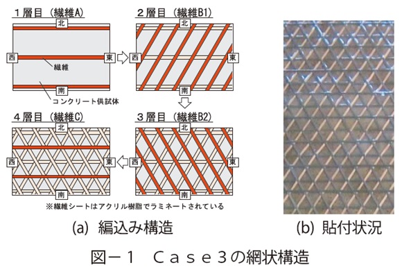 図1　Ｃａｓｅ３の網状構造