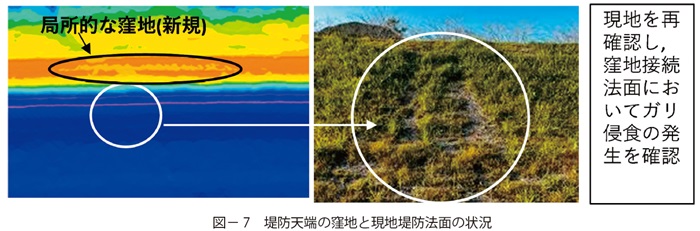 図7　堤防天端の窪地と現地堤防法面の状況