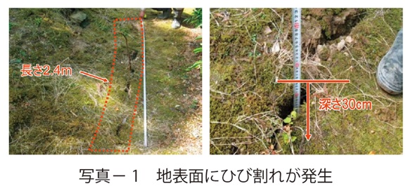 写真1　地表面にひび割れが発生