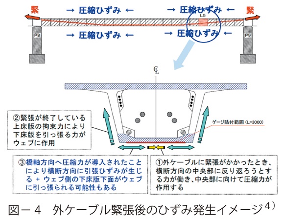 図4　外ケーブル緊張後のひずみ発生イメージ４）