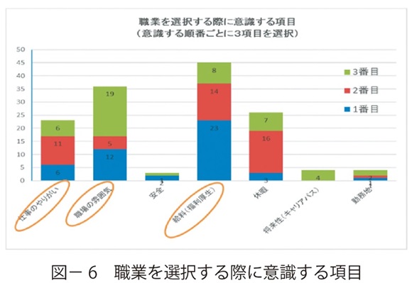 図6　職業を選択する際に意識する項目