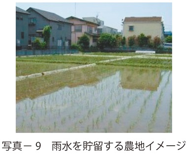 写真9　雨水を貯留する農地イメージ