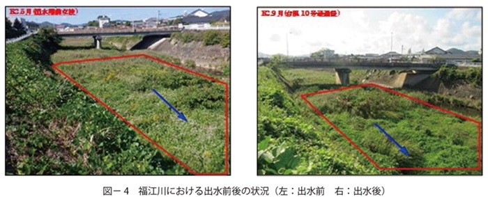 図4　福江川における出水前後の状況（左：出水前　右：出水後）