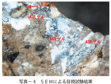 写真4　ＳＥＭによる目視試験結果