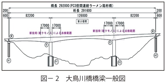 図2　大鳥川橋橋梁一般図