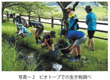 写真2　ビオトープでの生き物調べ