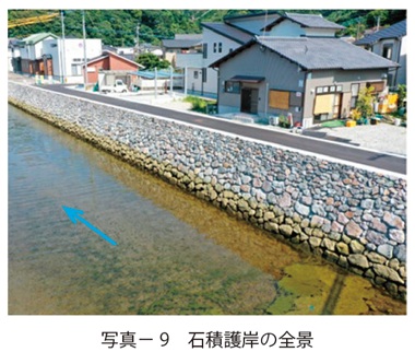 写真9　石積護岸の全景