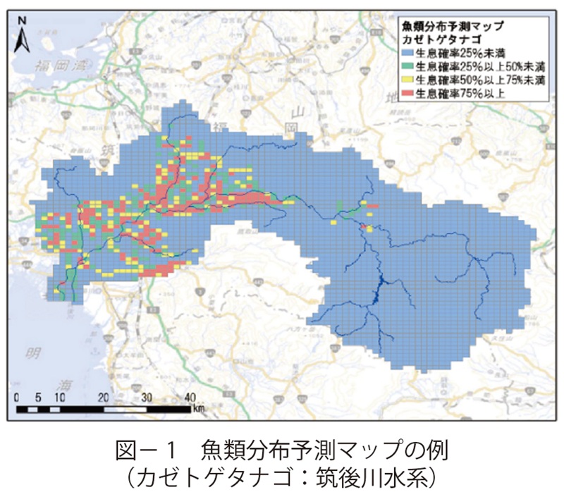 図1　魚類分布予測マップの例（カゼトゲタナゴ：筑後川水系）