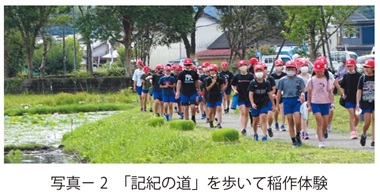 写真2　「記紀の道」を歩いて稲作体験