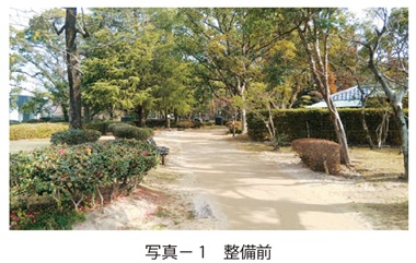 写真1　整備前