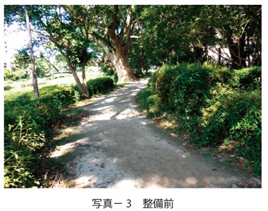 写真3　整備前