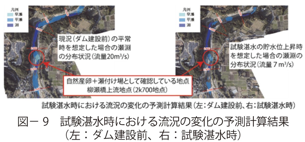 図9 試験湛水時における流況の変化の予測計算結果(左:ダム建設前、右:試験湛水時)