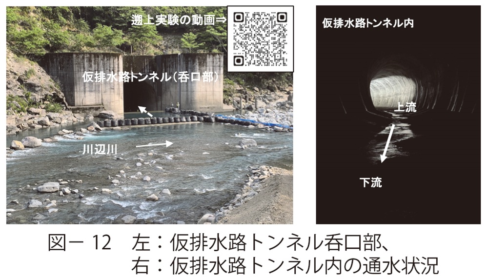 図12 左:仮排水路トンネル呑口部、右:仮排水路トンネル内の通水状況