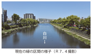 写真 現在の緑の区間の様子(R7.4撮影)