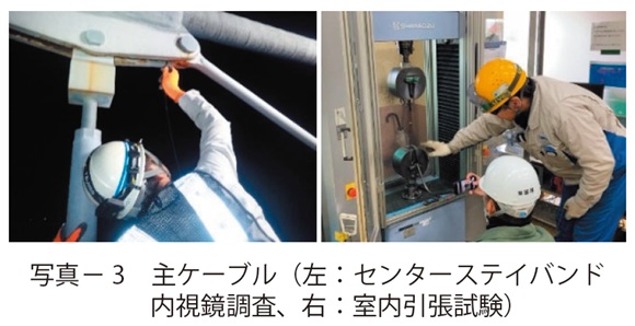 写真3　主ケーブル（左：センターステイバンド内視鏡調査、右：室内引張試験）