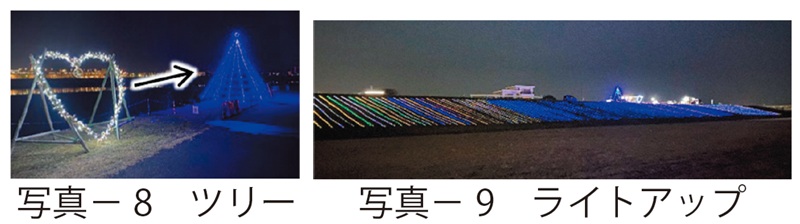 写真8　ツリー写真－9　ライトアップ