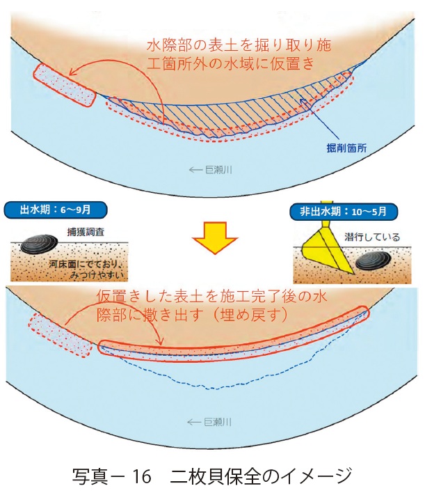写真16　二枚貝保全のイメージ