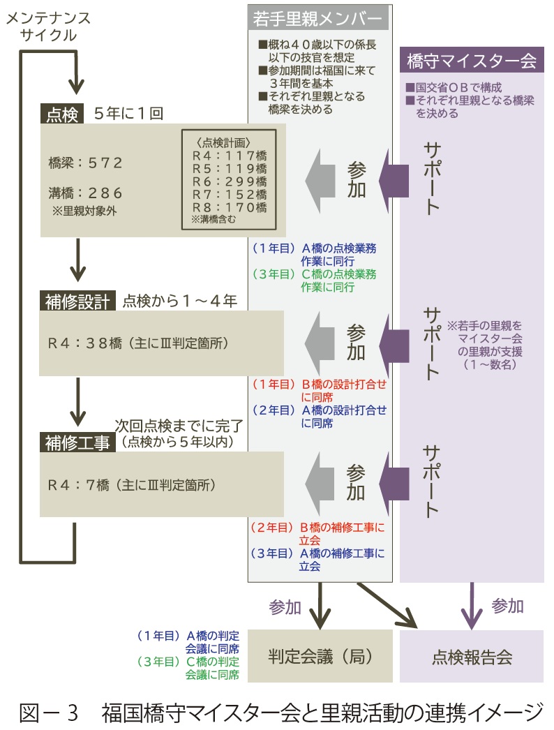 図3　福国橋守マイスター会と里親活動の連携イメージ