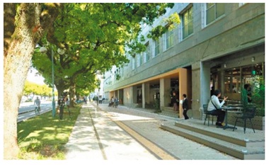 写真 ほこみちの様子